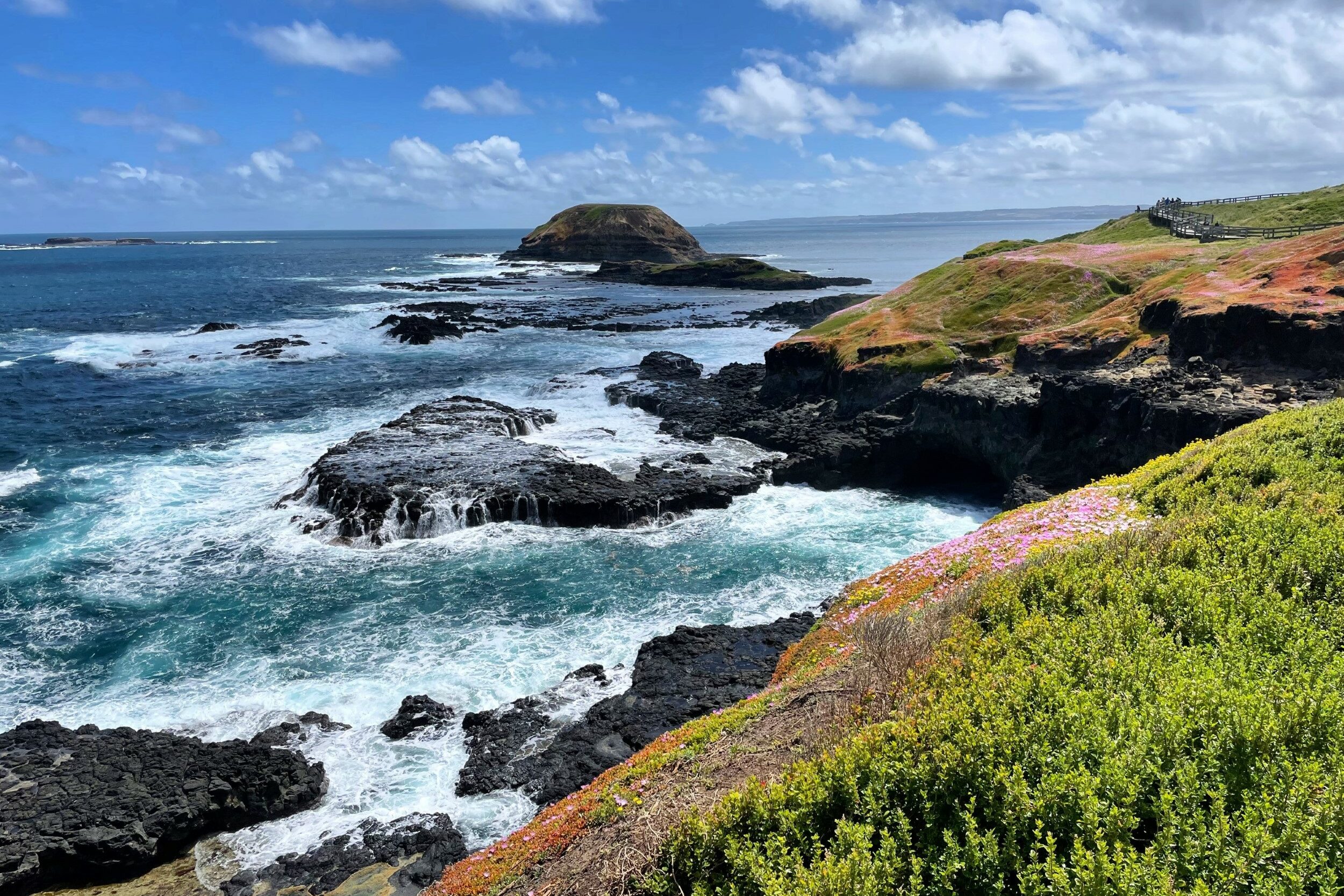 View of the Nobbies and Seal Rocks on Phillip Island, Victoria, Australia, with spring flowers on land in the foreground