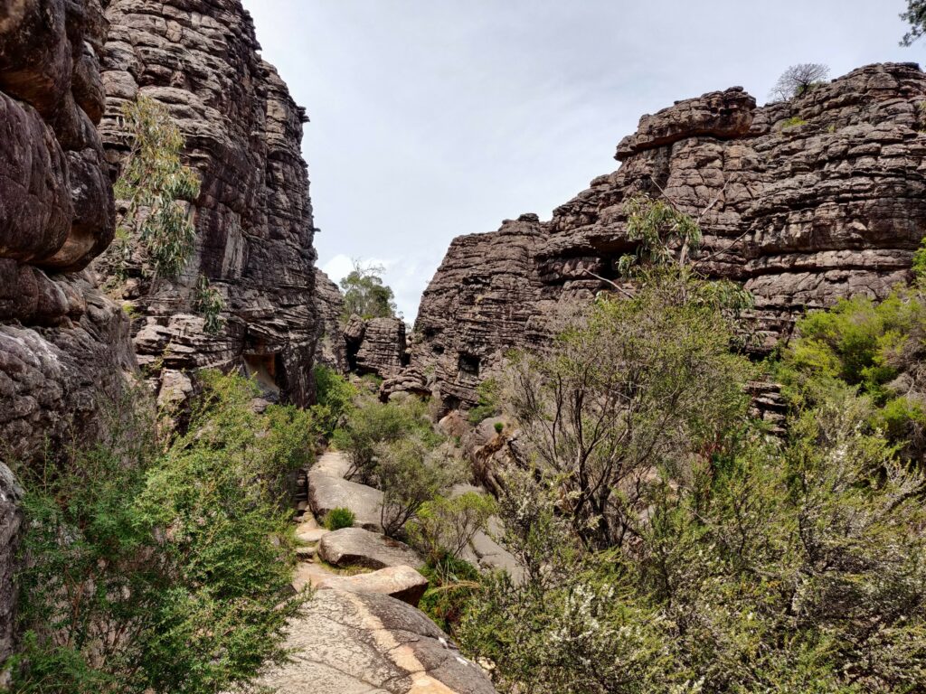 Grand Canyon trail in Halls Gap, Victoria, with sandstone cliffs on each side and small trees and bushes beside the path.