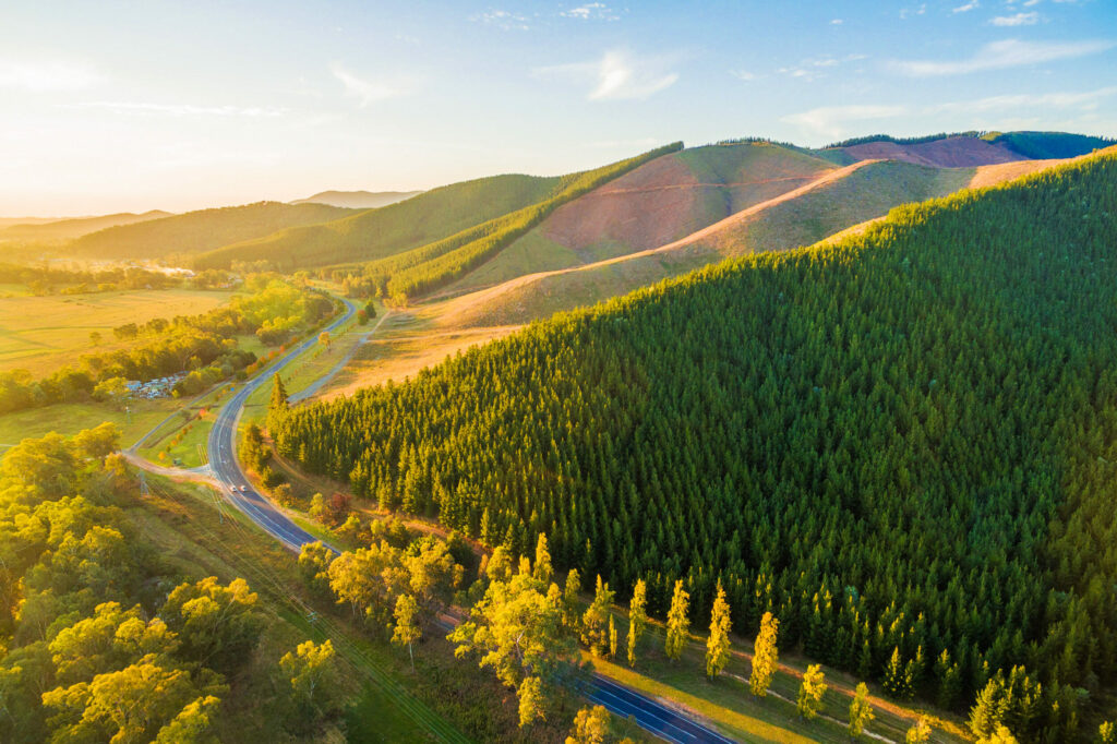 Looking down on a winding country road during the Golden Hour of sunset. To the right of the asphalt, mountains rise up with alpine trees blanketing their surface. On the left, flat, golden-green farmland stretch into the distance