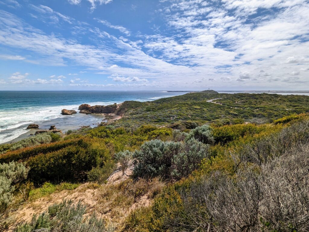 Looking west over Point Nepean National Park towards Fort Nepean, with trees and bushes in the foreground, and the ocean and a rocky beach in the middle distance