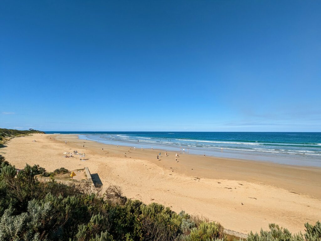 Anglesea Beach with people on the sand and in the ocean. Small trees and bushes line the dunes behind the beach