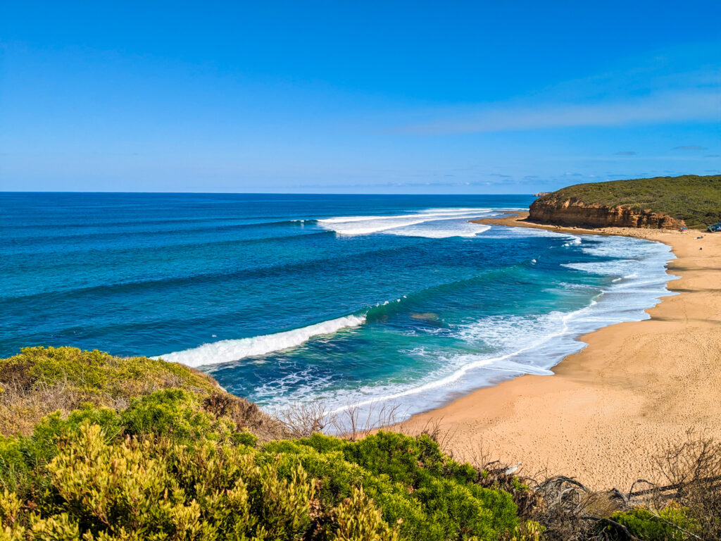 Bells Beach in Victoria. Golden sand beach in a small bay with surf break offshore. Cliffs covered in small trees and bushes at either end. Blue sky.