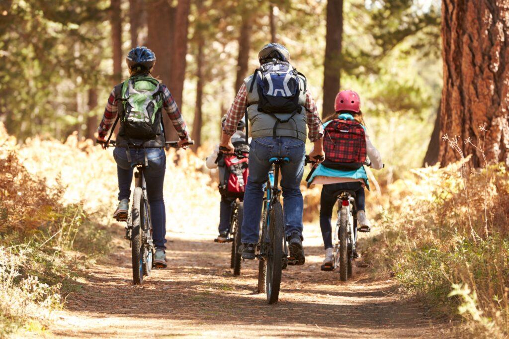 Back view of family cycling on mountain bikes on a dirt trail with trees alongside