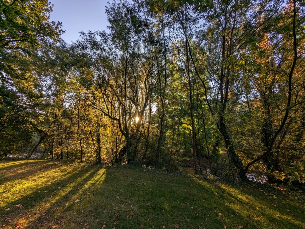 Low sun through the trees beside the Ovens River in Bright