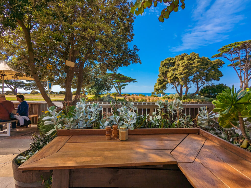 The view from Pond Cafe on a sunny day in summer. Beyond the cafe's wooden tables, a vast grassy reserve can be seen, with the ocean just visible beyond it