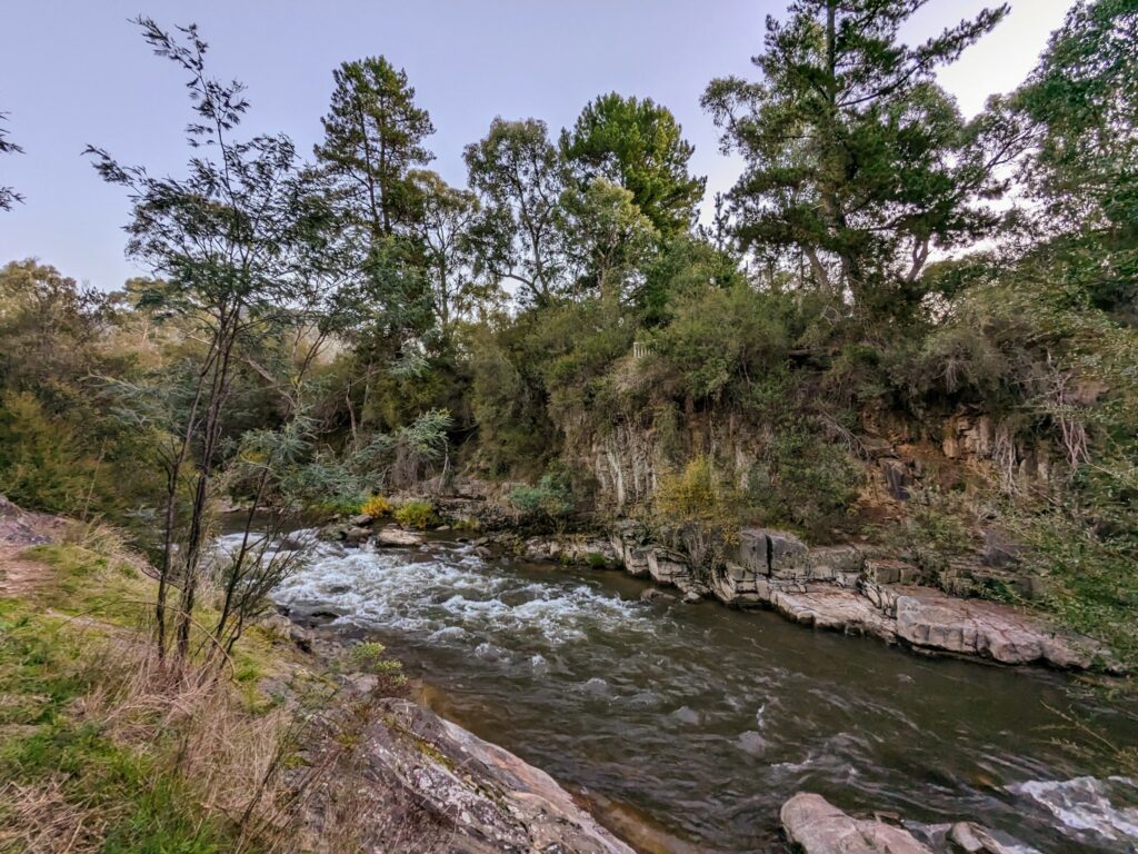 Rapids on the Ovens River, seen from the Bright Canyon Walk. Trees and rocky cliff on the opposite bank