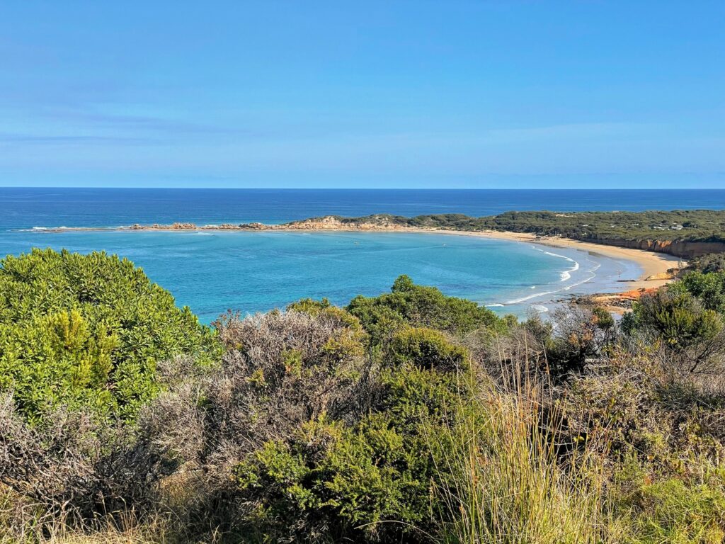 View from Loveridge Lookout out over a bay towards small rocky peninsula (Point Roadknight) with trees in the foreground and beach in the middle distance