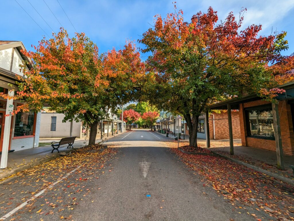 Trees with brightly-coloured autumn leaves on either side of a town street. Brick buildings with overhanging awnings on each side. More colourful trees visible in the distance. Fallen leaves on both sides of the street.