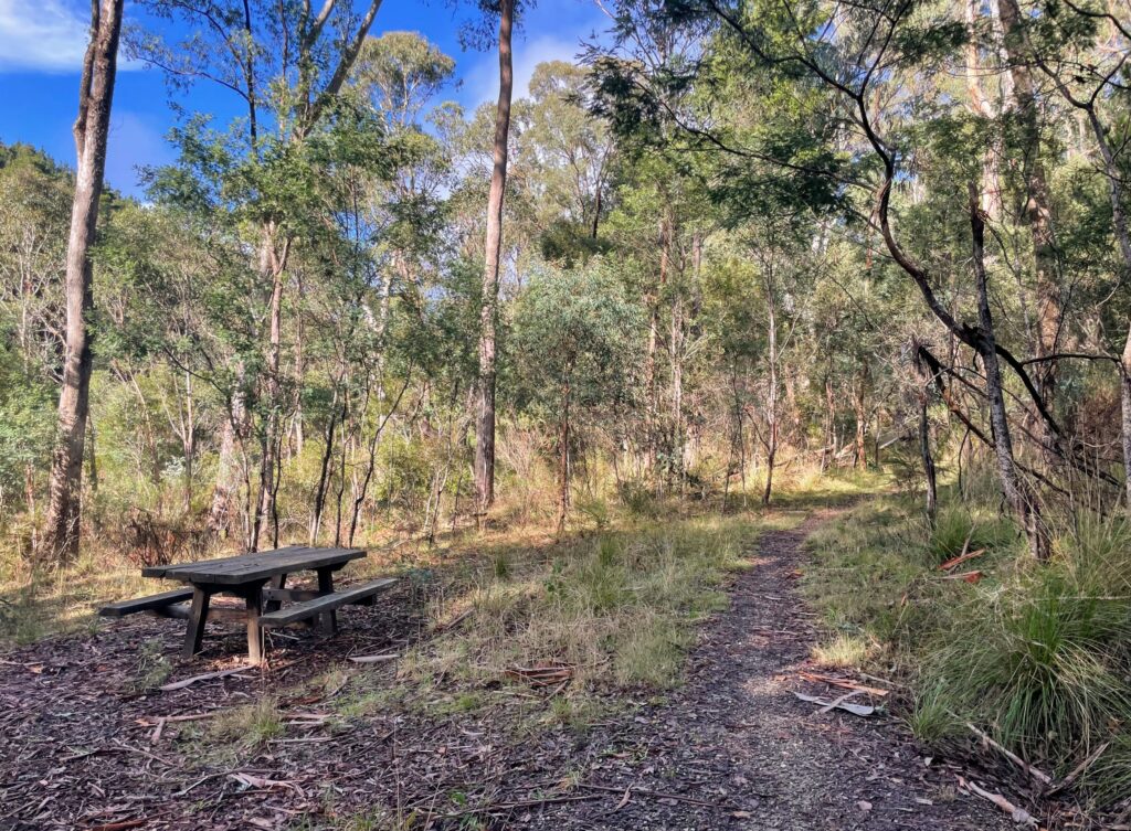Picnic table beside a narrow dirt path running through trees on a sunny day