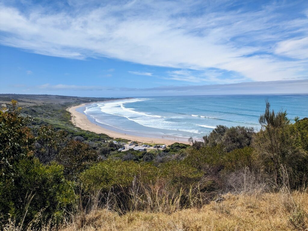 View from cliffs overlooking a long sandy surf beach in Australia. Cars visible in carpark below. Trees and bushland all around.