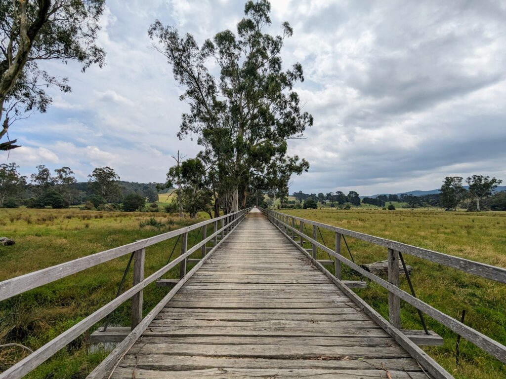 Long wooden footbridge stretching into the distance, with swampy grassland on both sides and a few large trees dotted around.