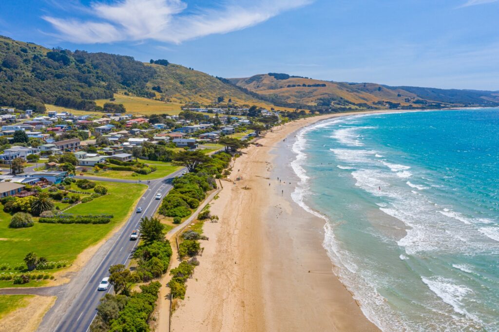 Drone view of the main beach at Apollo Bay on a sunny day, with people on the sand and in the water, a road running alongside the beach, and a cluster of houses nearby.
