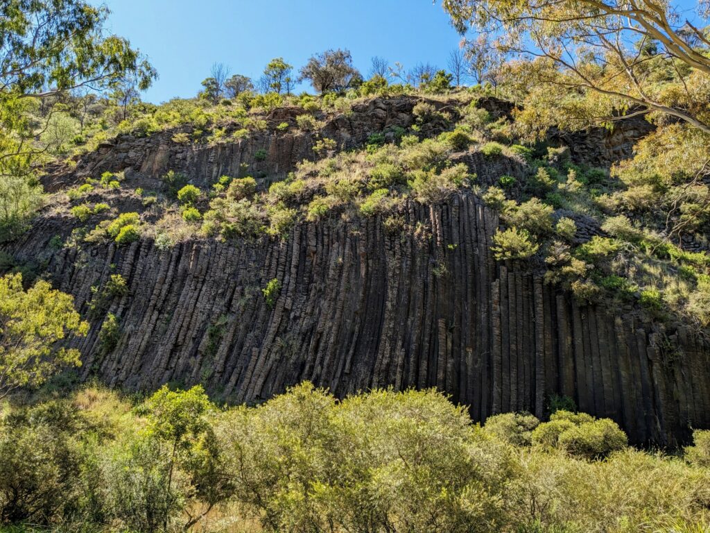 Dozens of thin, cylindrical rock formations rising vertically up the side of a cliff that resemble the pipes of a church organ. Bushes and trees are in the foreground and on the flat tops of the cliff.