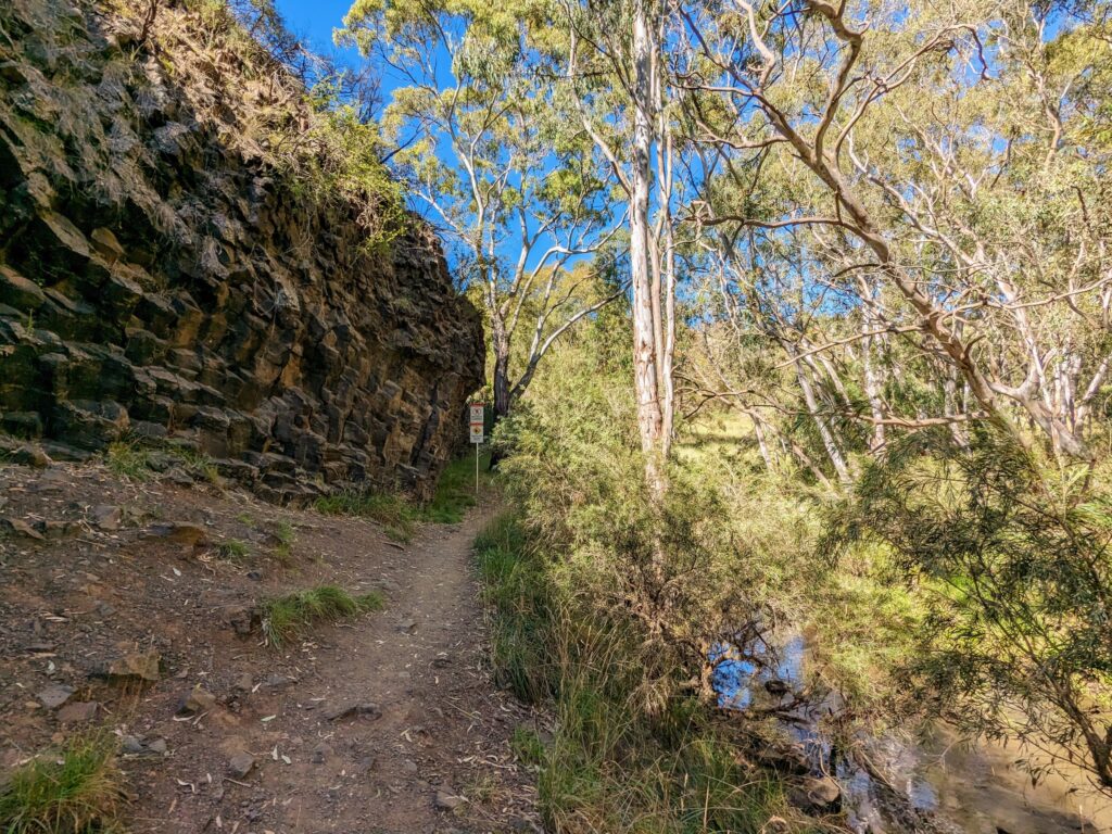 Narrow dirt trail with a creek on one side and a jagged rock wall on the other