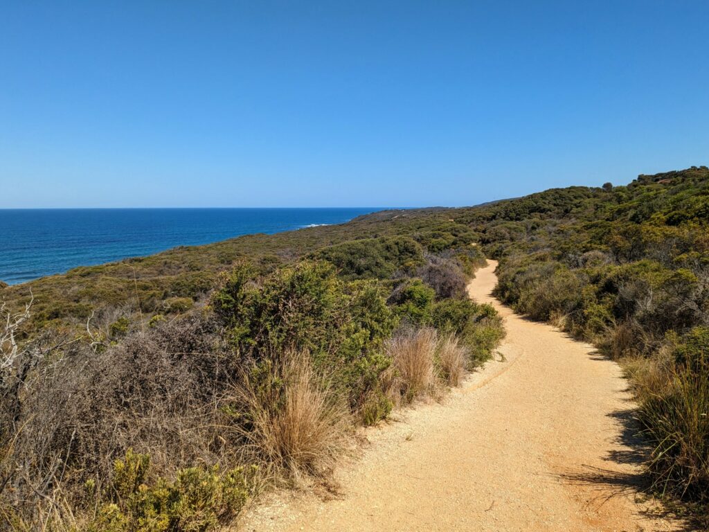 Dirt and gravel track along the top of a cliff, with ocean nearby on one side and bushland on both sides.