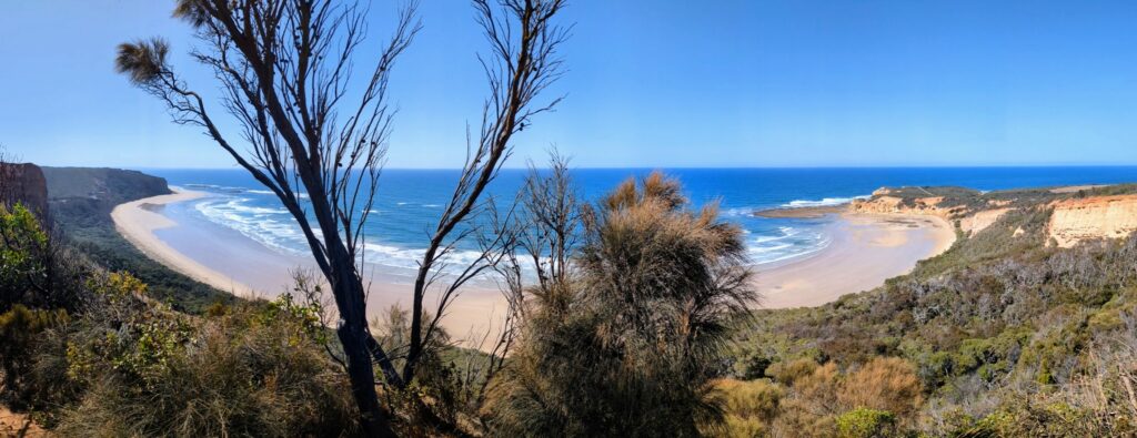Panoramic view over a semi-circular bay with a long sandy beach. Bush and trees covers the cliffs and hills behind the beach.