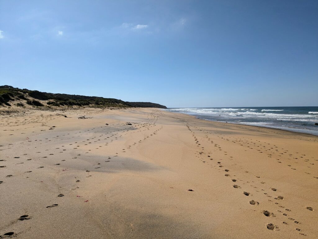 Long empty beach with lines of footprints running along it. Ocean with breaking waves on the right, scrubby dunes on the left.