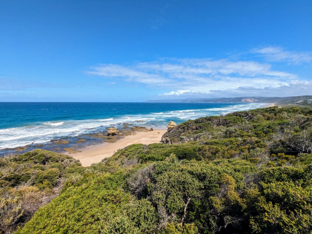 View over bushland towards a beach with many flat rocks at the water's edge. A much longer section of beach is visible in the distance.
